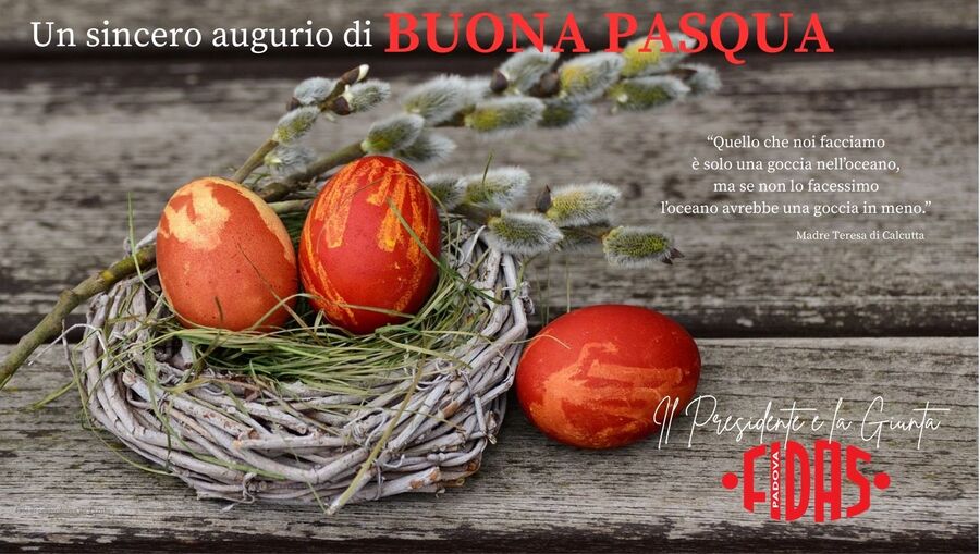Auguri_Pasqua_2025.jpg