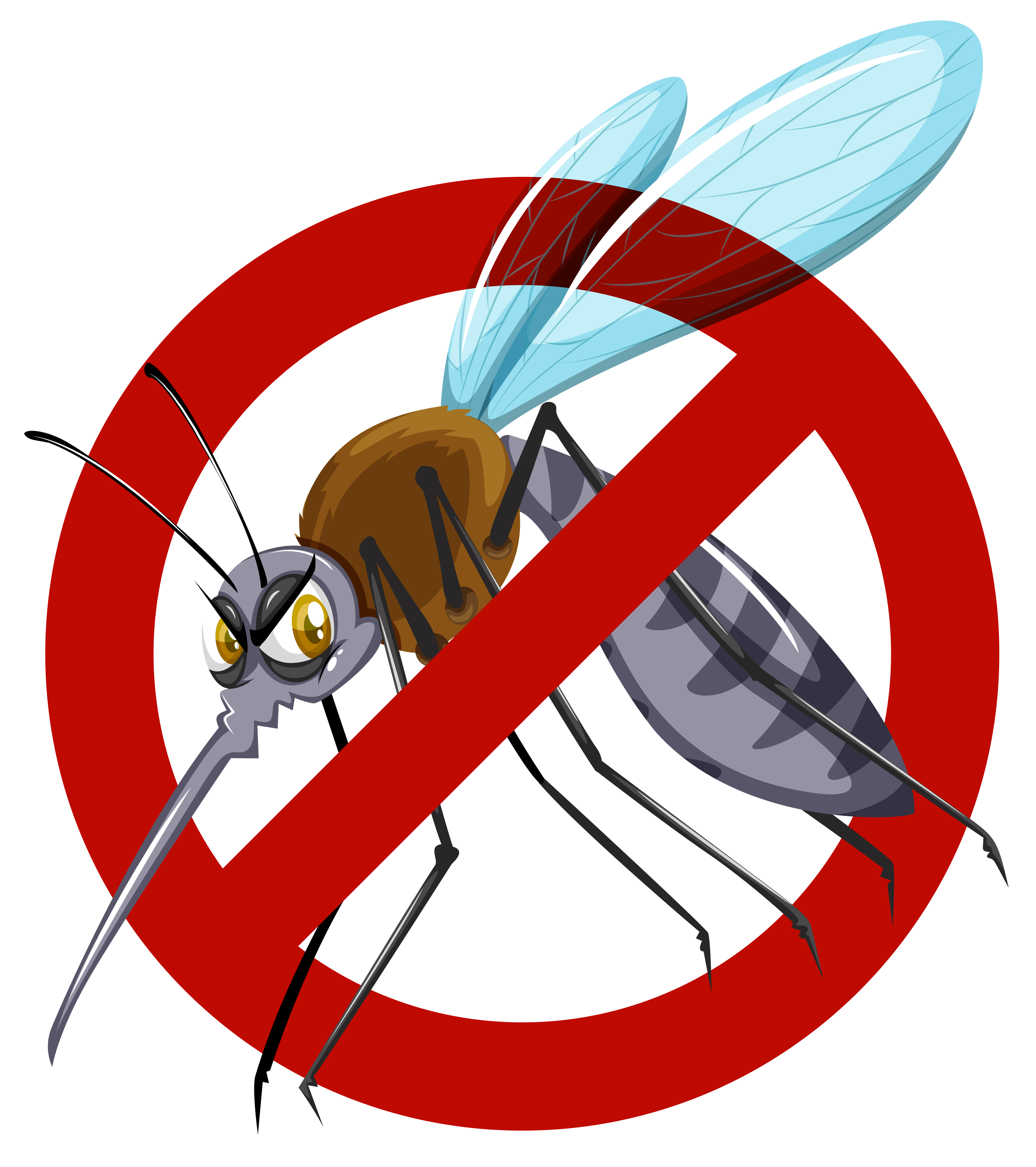 Clicca per accedere all'articolo WEST NILE VIRUS - nessuna sospensione per i donatori di sangue del Veneto
